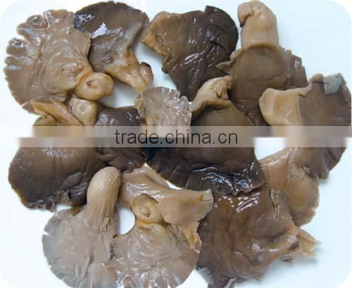 Canned grey oyster mushroom