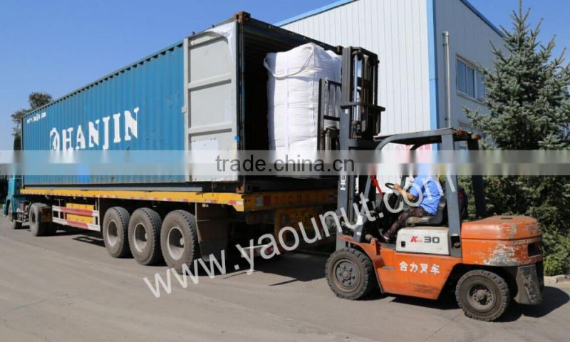 chinese bitter almond kernels