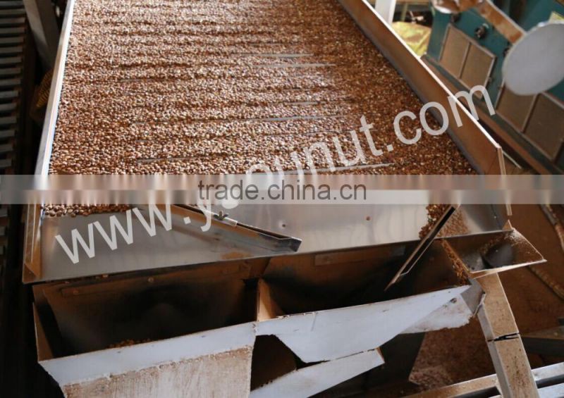 chinese bitter almond kernels