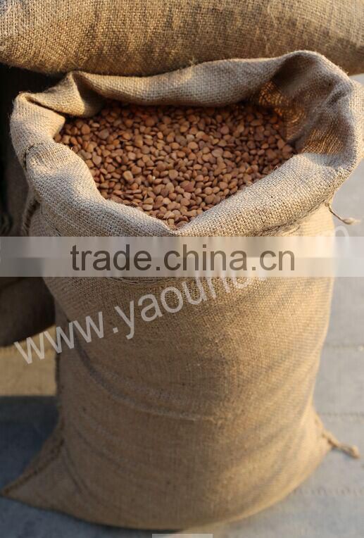 chinese bitter almond kernels