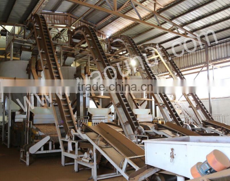 chinese bitter almond kernels