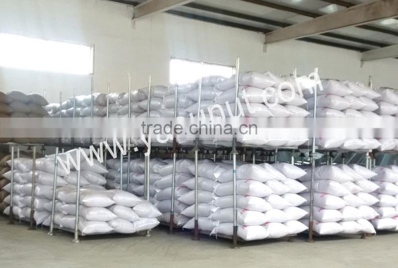 chinese bitter almond kernels