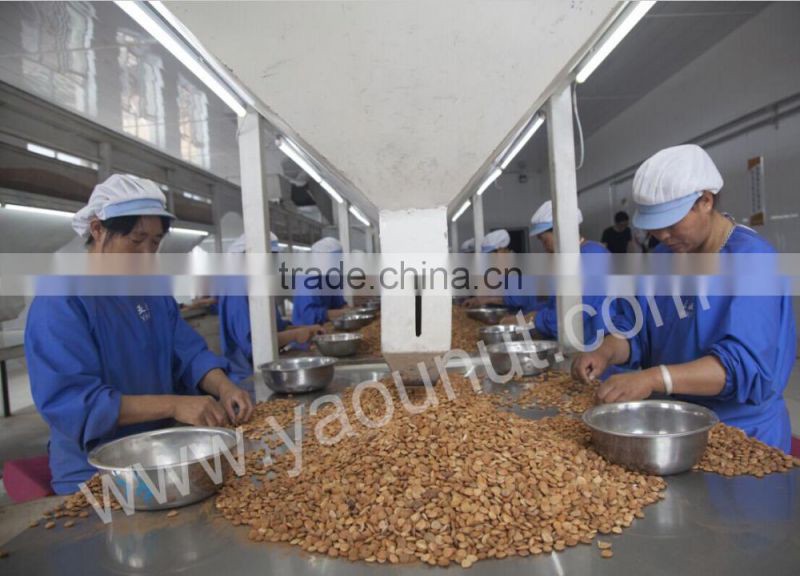 bitter apricot kernels for sale