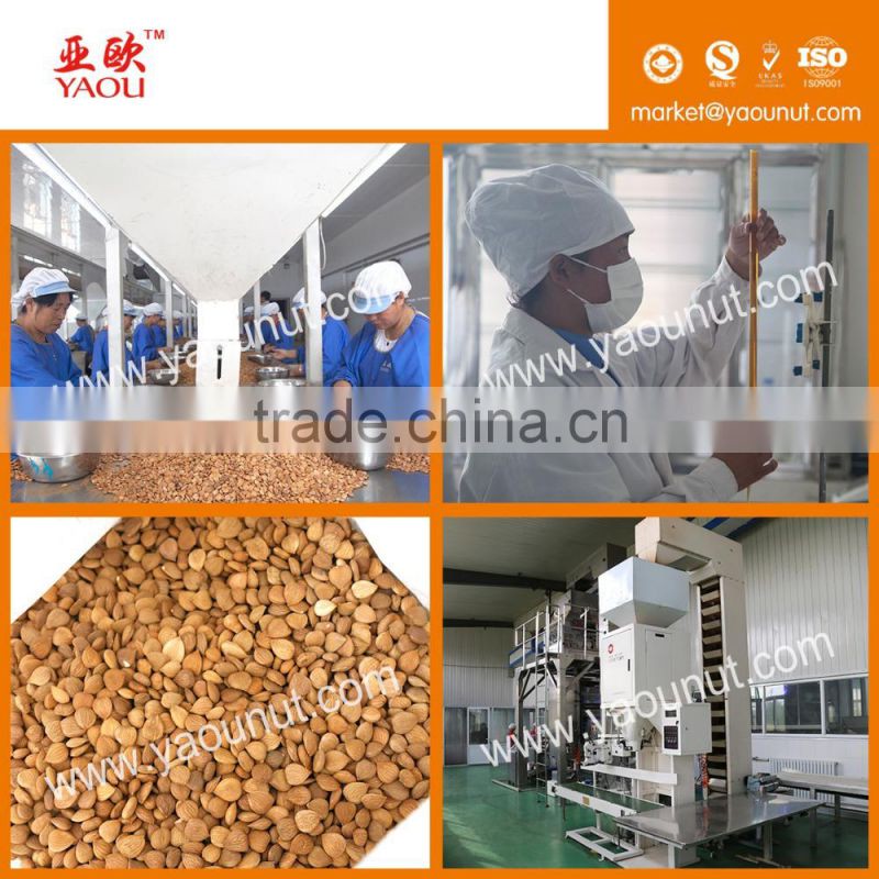 chinese bitter almond kernels