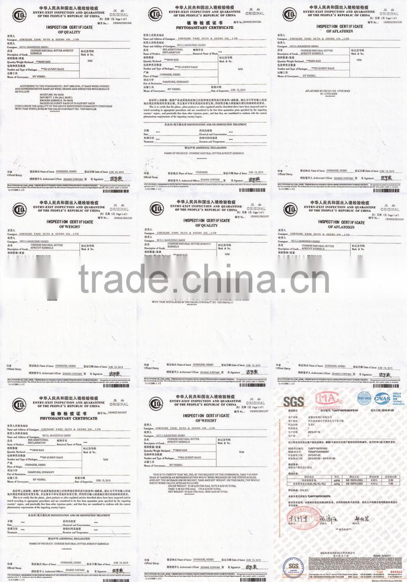 chinese bitter almond kernels