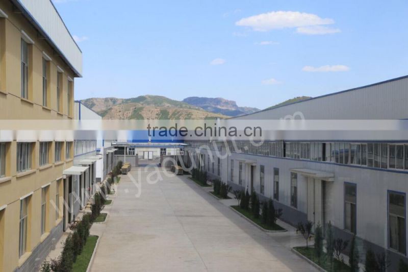 chinese bitter almond kernels