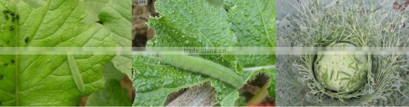 Botanic pesticide Pyressi special for controlling cabbage worms and other worms