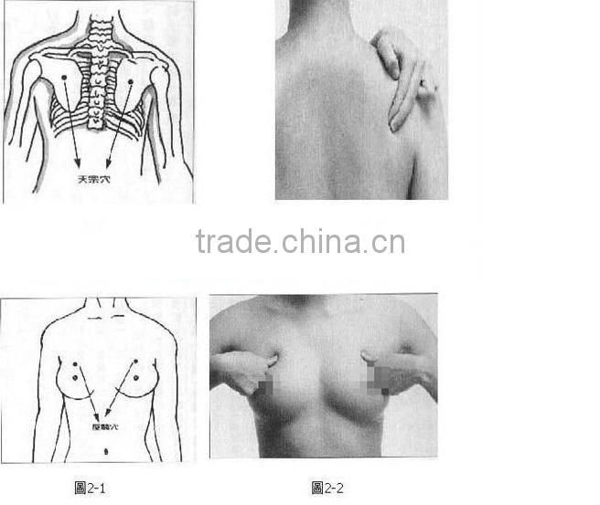 Breast Enhancement Oil