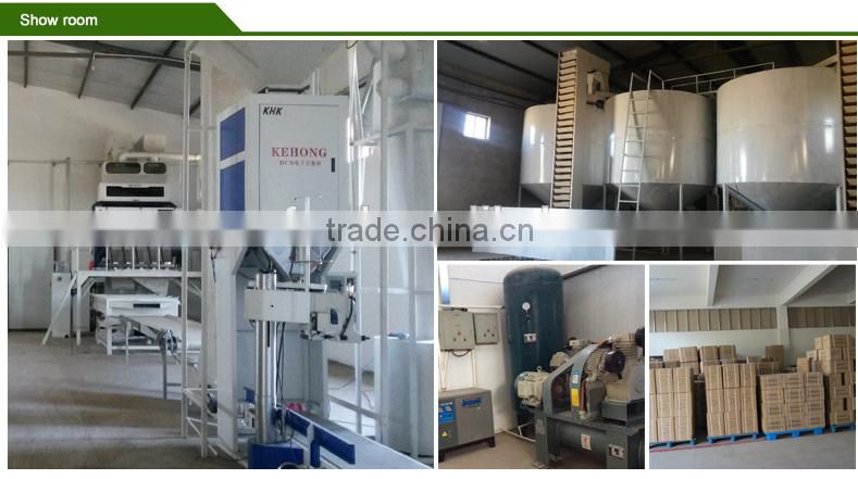 sunflower seeds for oil sunflower seeds for sporting