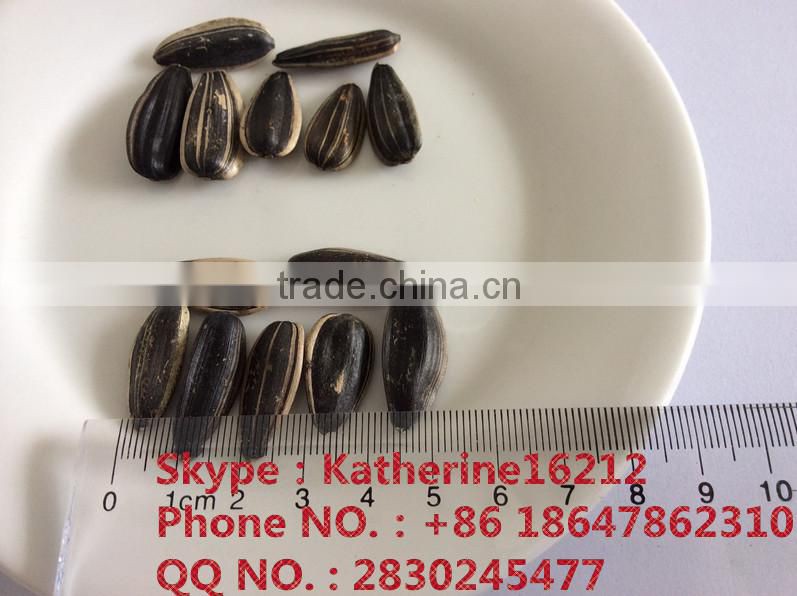 sell sunflwoer seeds sunflower seed market price sunflower seed ton price