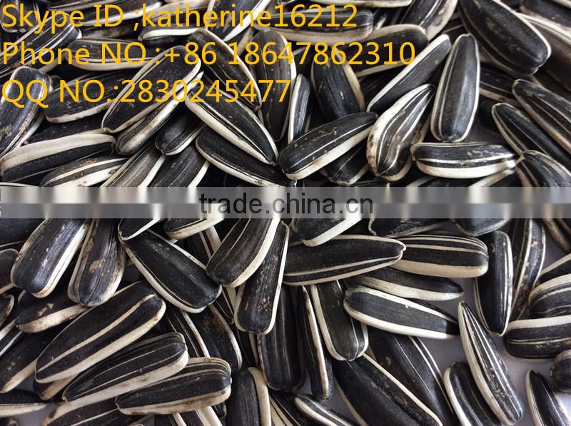 Long type sunflower seeds sunflower seed ton price