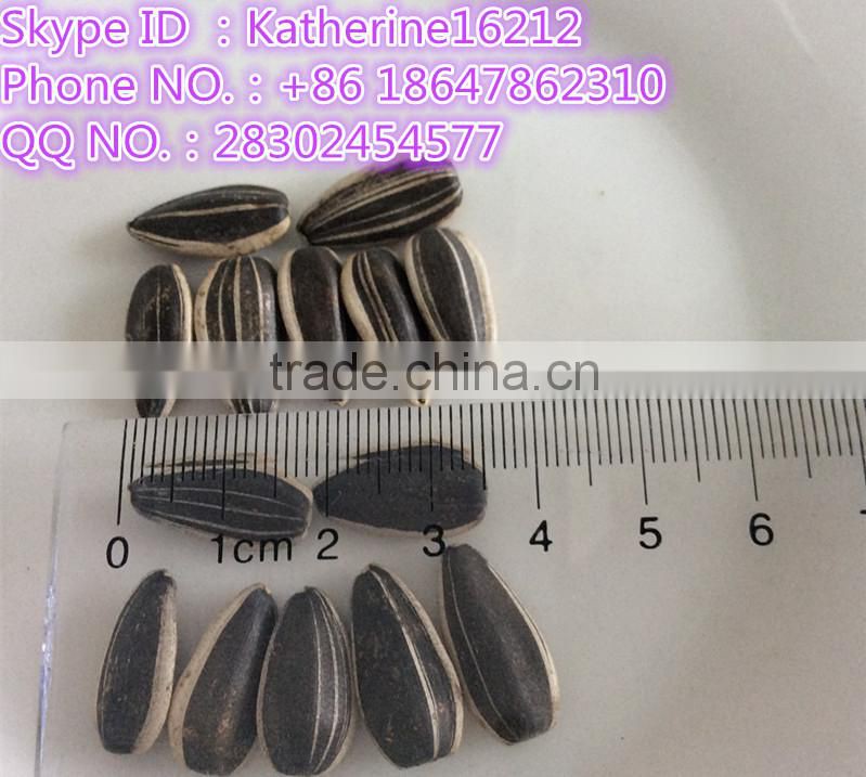 sunflower seed market price organic sunflower seeds seeds for sale