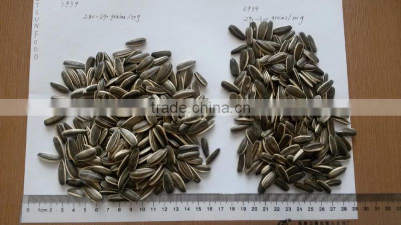 Sunflower seeds for human consumption