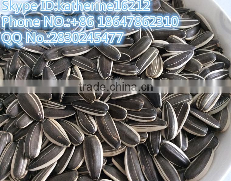 different type of seeds sunflower seeds for human consumption