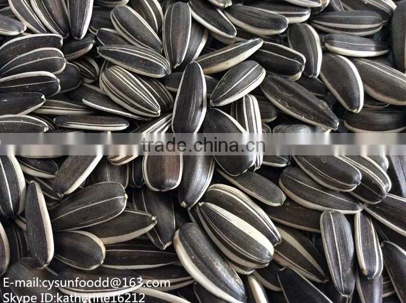 Black sunflower seeds 3939 for human consumption