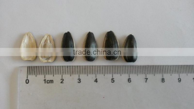 Chinese sunflower seed 1121