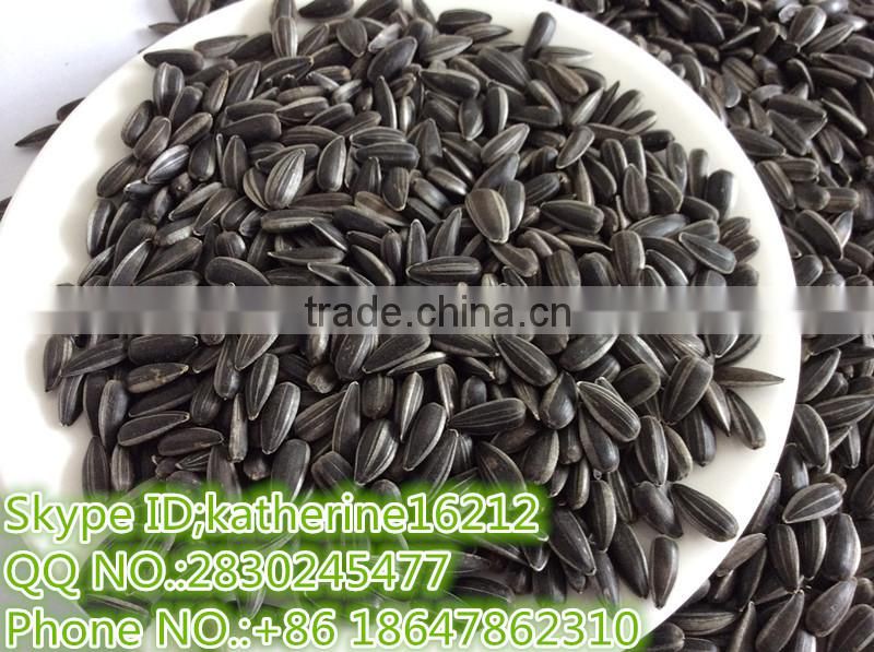 sunflower seeds for oil sunflower seeds for sporting