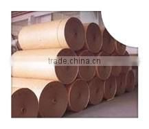 garment factory CAD plotter paper roll