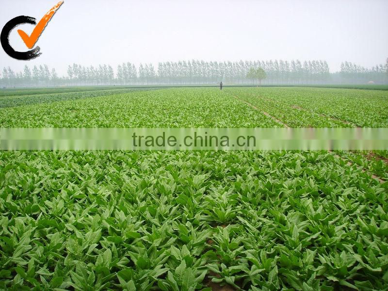 vegetables dried Balsam Pear