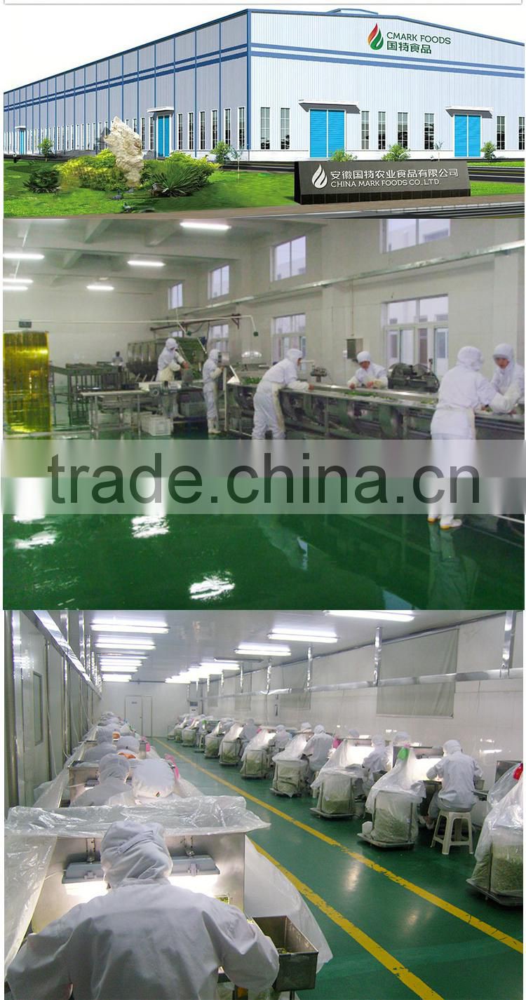 Top Quality Barley Grass Juice Powder 200mesh