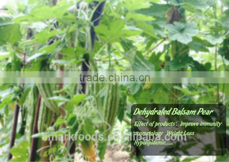 Dehydrated Balsam Pear--Dehydrated vegetables