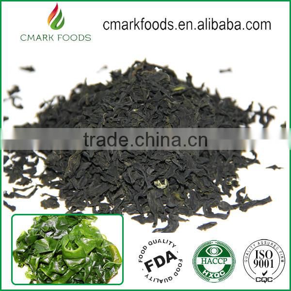 Top Quality Barley Grass Juice Powder 200mesh
