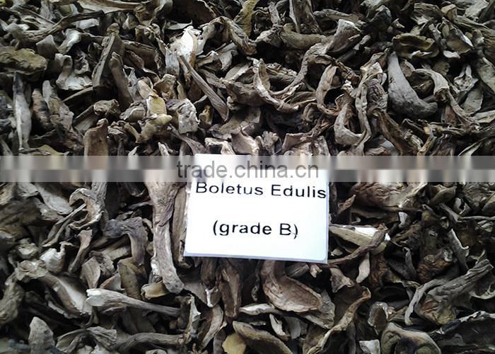 dried boletus edulis sliced porcini mushroom, cep
