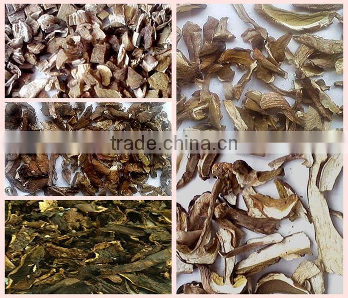 deep freezing boletus edulis,frozen porcini mushroom