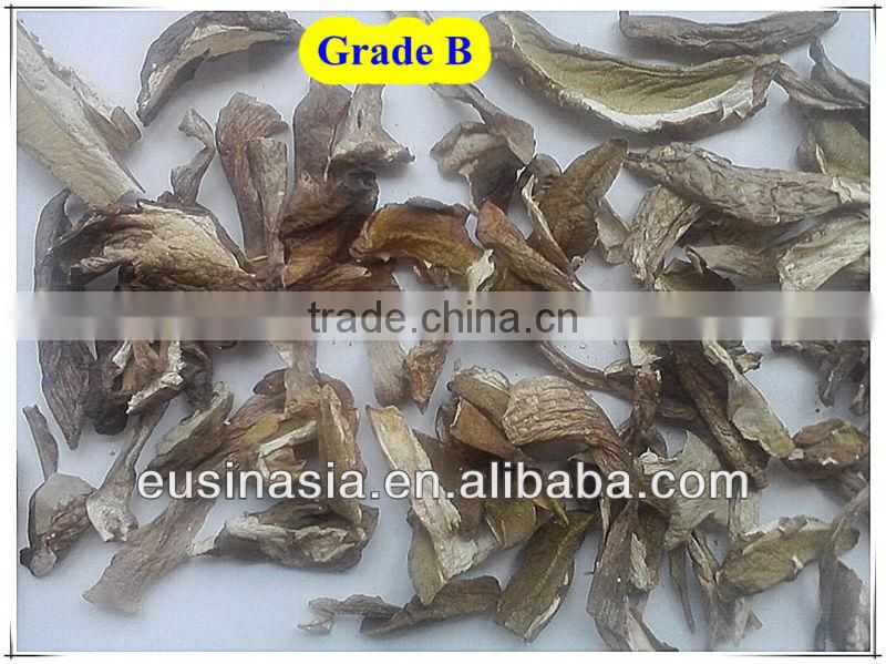 2-4/4-6/6-8cm frozen boletus edulis mushroom