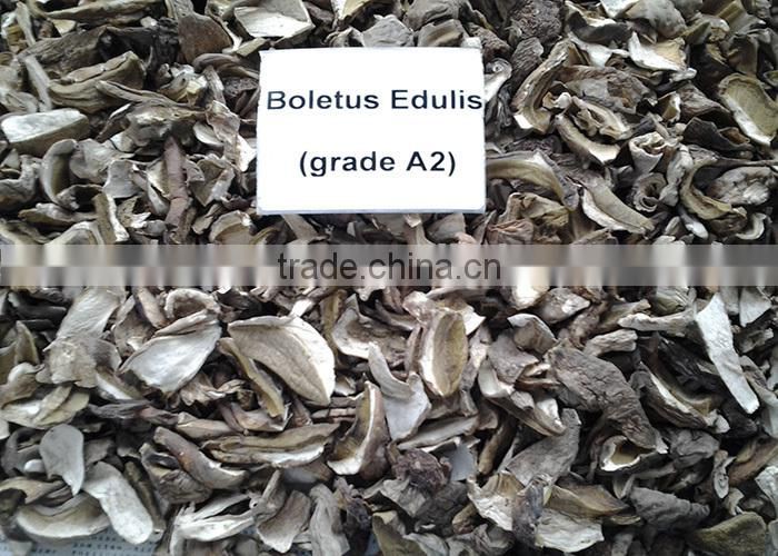 dried boletus edulis sliced porcini mushroom, cep