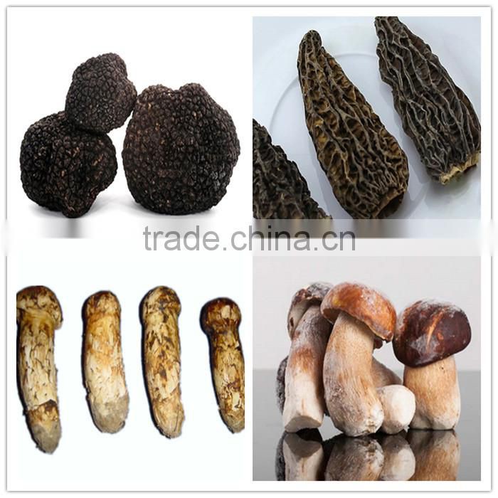 deep freezing boletus edulis,frozen porcini mushroom