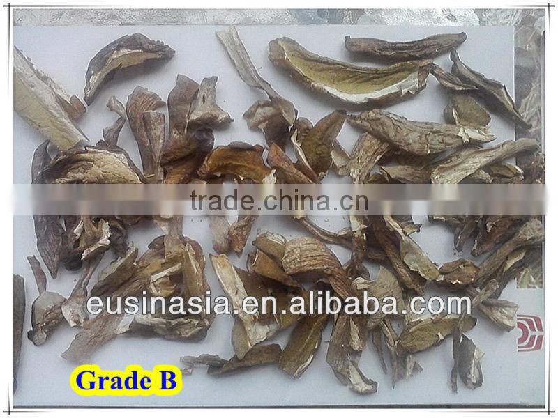 2-4/4-6/6-8cm frozen boletus edulis mushroom