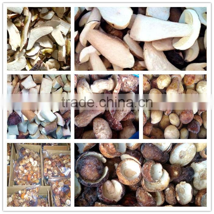 dried boletus edulis sliced porcini mushroom, cep