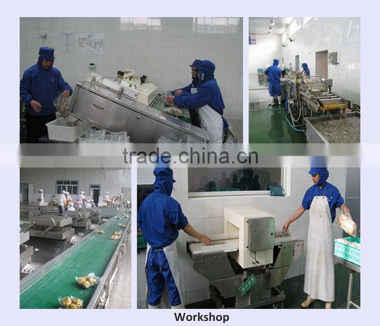 deep freezing boletus edulis,frozen porcini mushroom