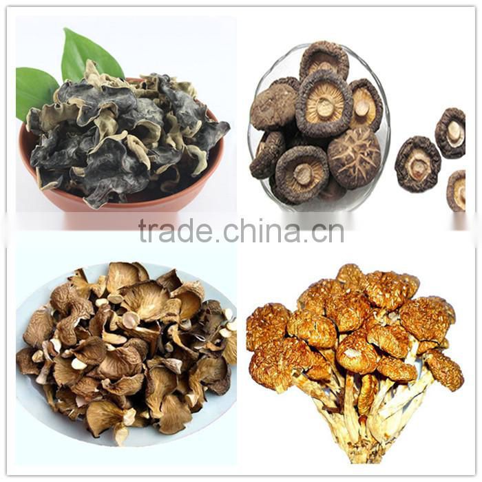 deep freezing boletus edulis,frozen porcini mushroom