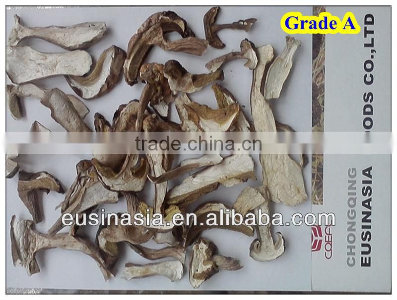2-4/4-6/6-8cm frozen boletus edulis mushroom
