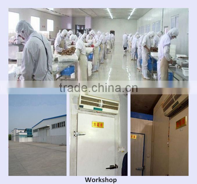 deep freezing boletus edulis,frozen porcini mushroom