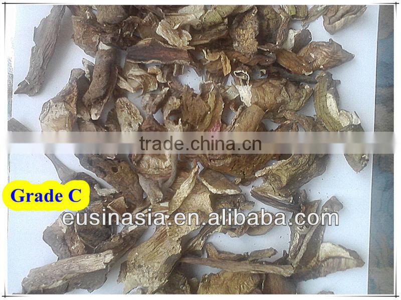 2-4/4-6/6-8cm frozen boletus edulis mushroom