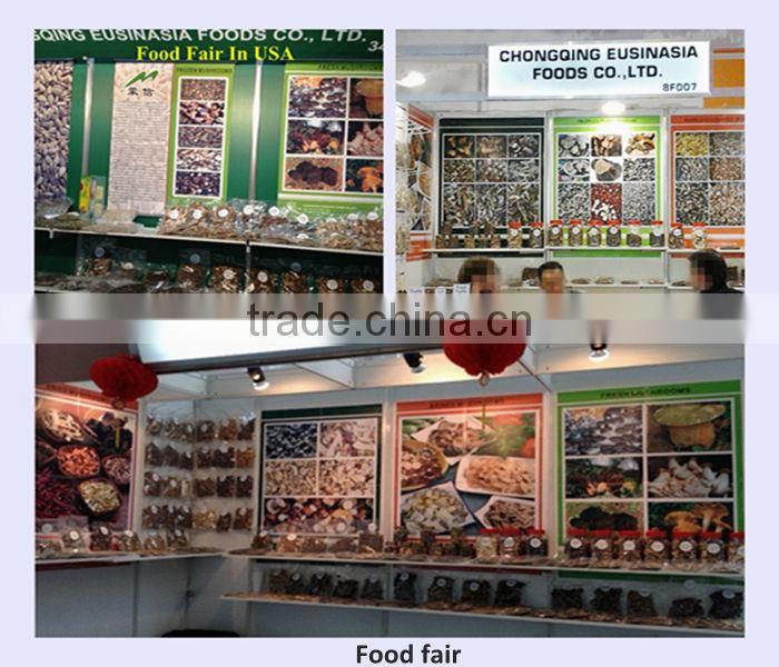 deep freezing boletus edulis,frozen porcini mushroom