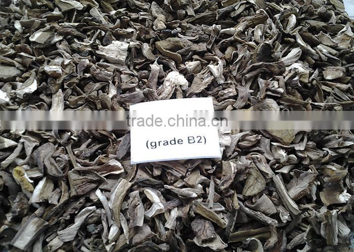 dried boletus edulis sliced porcini mushroom, cep