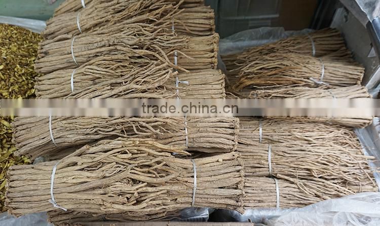 Codonopsis pilosula /Dangshen / / Crude Medicine