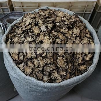 Ligusticum chuanxiong hort / Chuanxiong / Crude Medicine