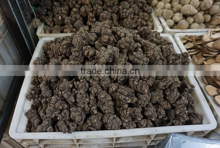 Ligusticum chuanxiong hort / Chuanxiong / Crude Medicine