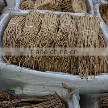 Codonopsis pilosula /Dangshen / / Crude Medicine