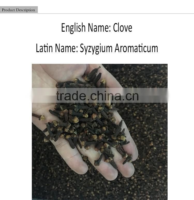 Cloves/Syzygium Aromaticum/Spices
