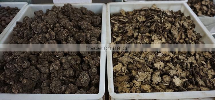 Ligusticum chuanxiong hort / Chuanxiong / Crude Medicine