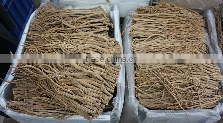 Codonopsis pilosula /Dangshen / / Crude Medicine