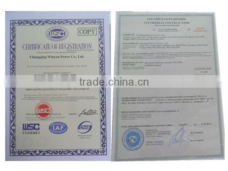 800w 900w 1kw 1.5kw 2kw 3kw 4kw 5kw 6kw 7kw 8.5kw 10kw portable gasoline generator