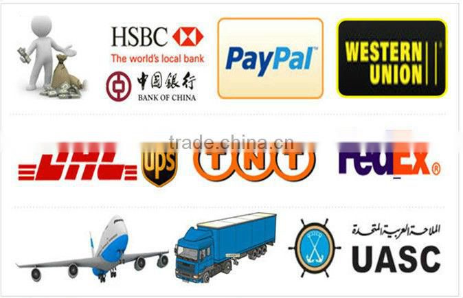 Decorative Wall and Ceiling Plastic Access Panel