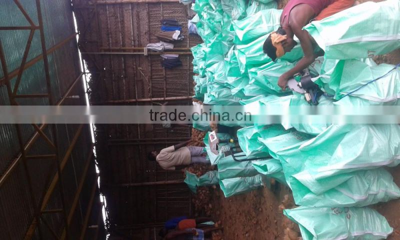 Fresh Semi Husked Matured Cocount